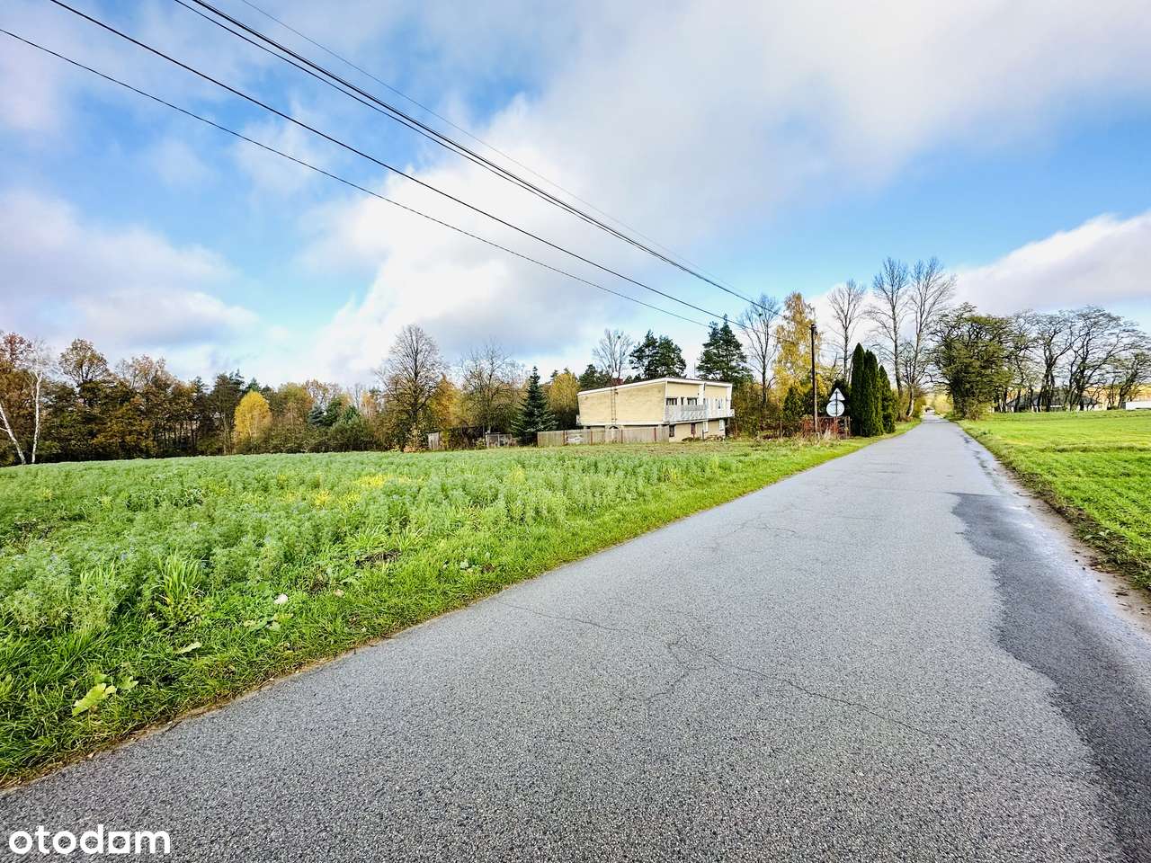 Działka budowlana na sprzedaż, 2 950 m², Lipie Troniny, pow. kłobucki - Pełny obrazek: 4/5