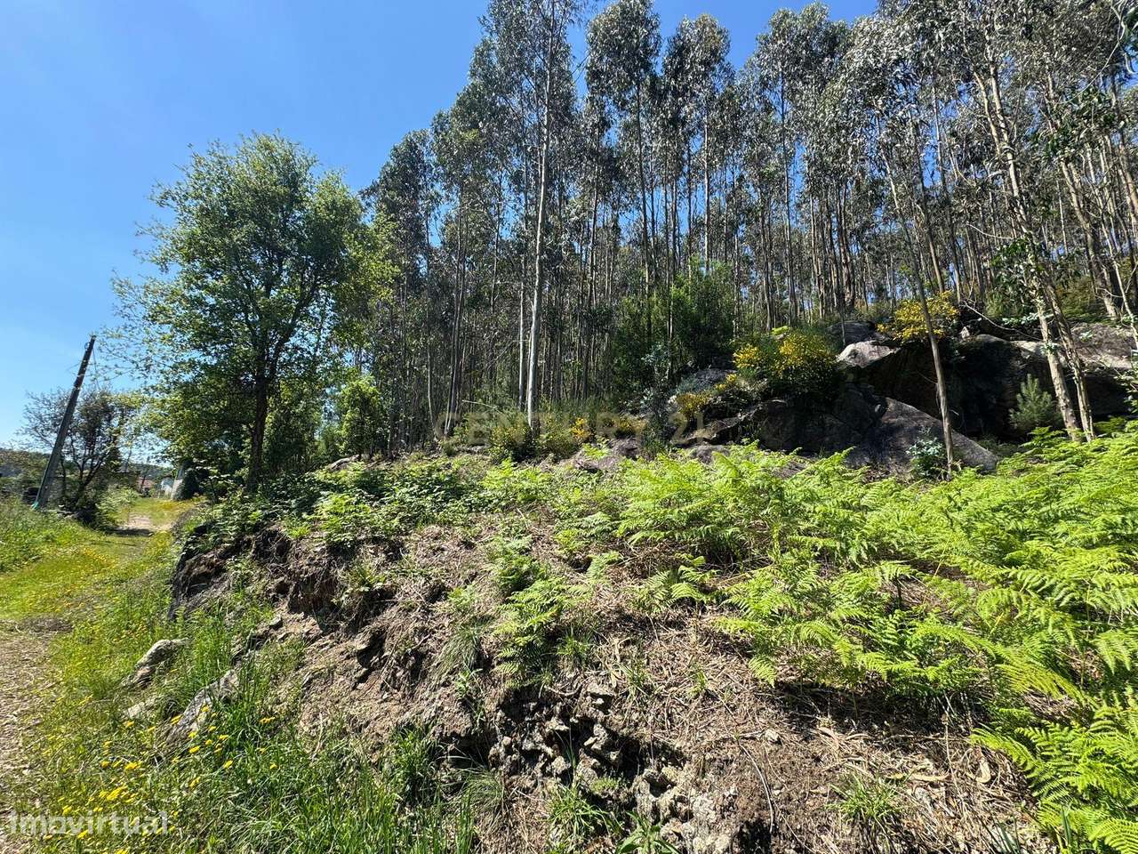 Terreno com 8000m2 em  Vila Cova - Grande imagem: 4/19