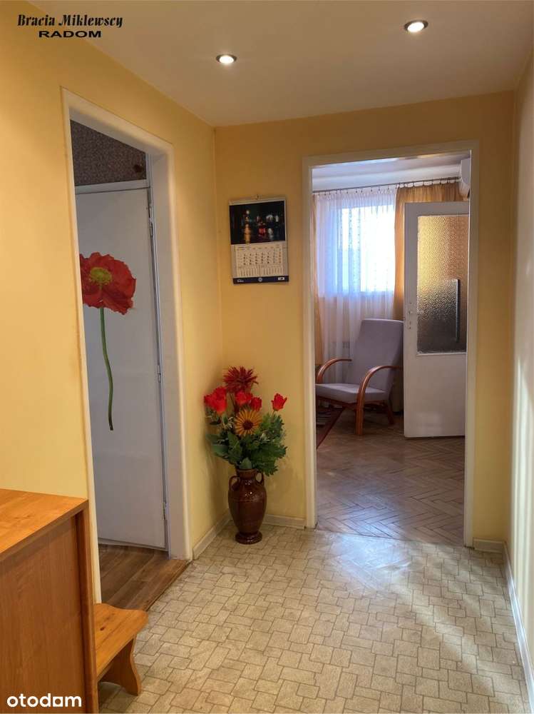 mieszkanie w Centrum z KW - Pełny obrazek: 5/12