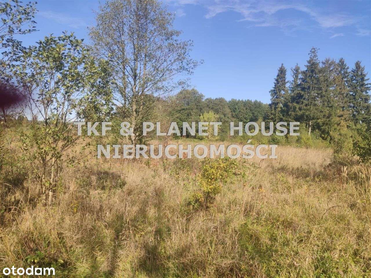 Działki na sprzedaż Giełzów gm. Drzewica - Pełny obrazek: 3/5