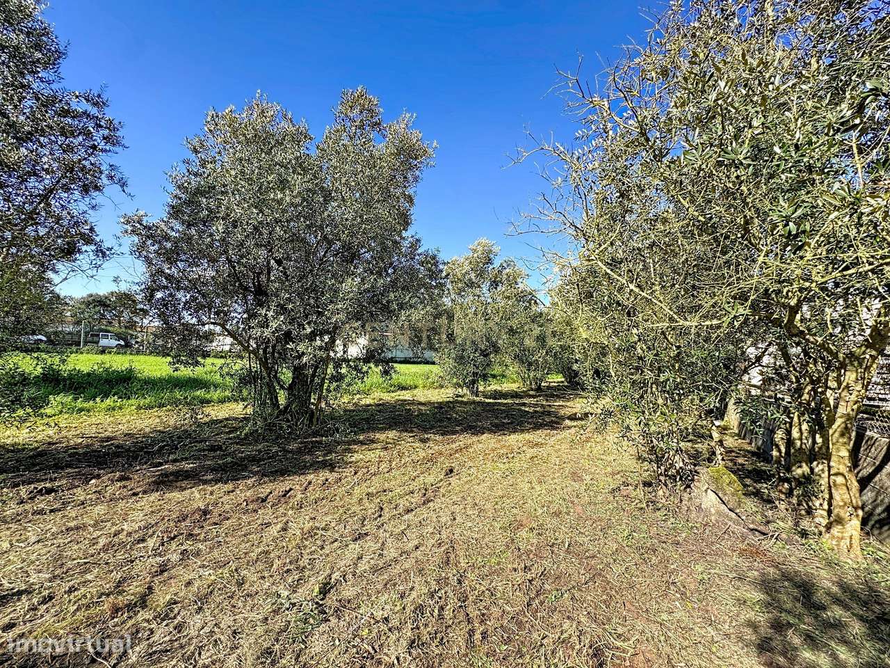 Terreno com Elevado Potencial Comercial na N1 – Moleanos, Alcobaça - Grande imagem: 3/17