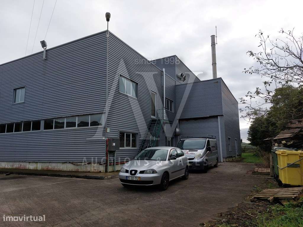 INDÚSTRIA DE PELLETS - ILHA TERCEIRA - AÇORES | LEILÃO PRESENCIAL -... - Grande imagem: 5/6