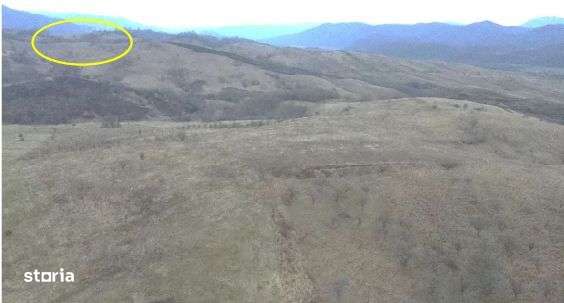 Cota 1/4 teren extravilan Dalboset, jud. Caras Severin - termen 14.08 - Imagine principală: 2/7