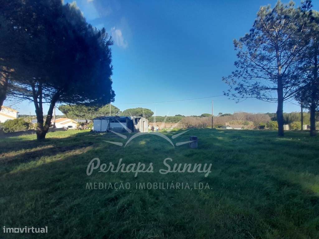 Quintinha Lagoa de Melides-19