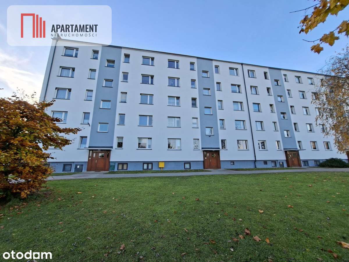 Tylko u nas! słoneczne mieszkanie, dwa pokoje - Pełny obrazek: 3/13