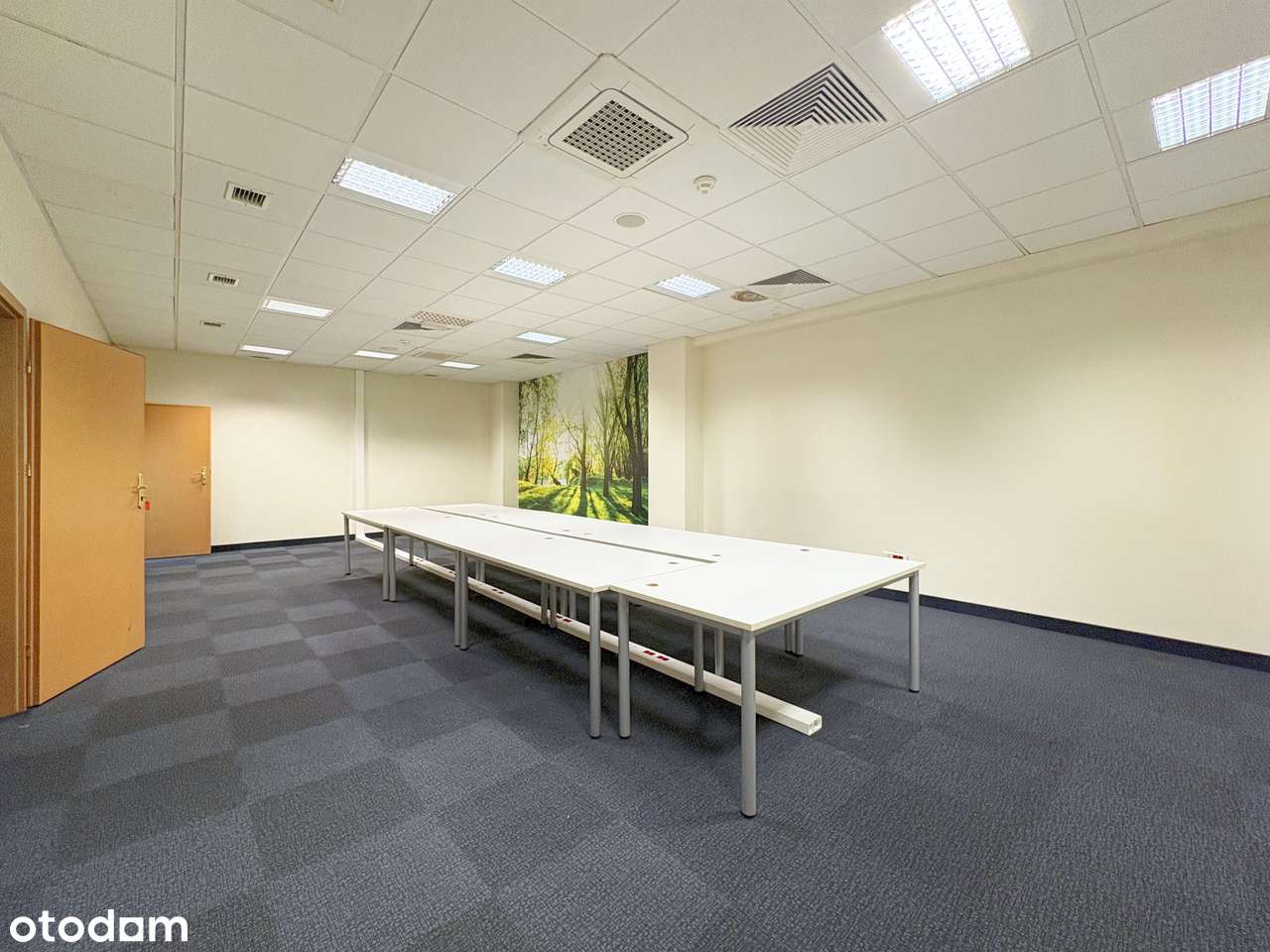 Bez prowizji! Biuro 277 m² przy autostradzie A4 | Katowice-8