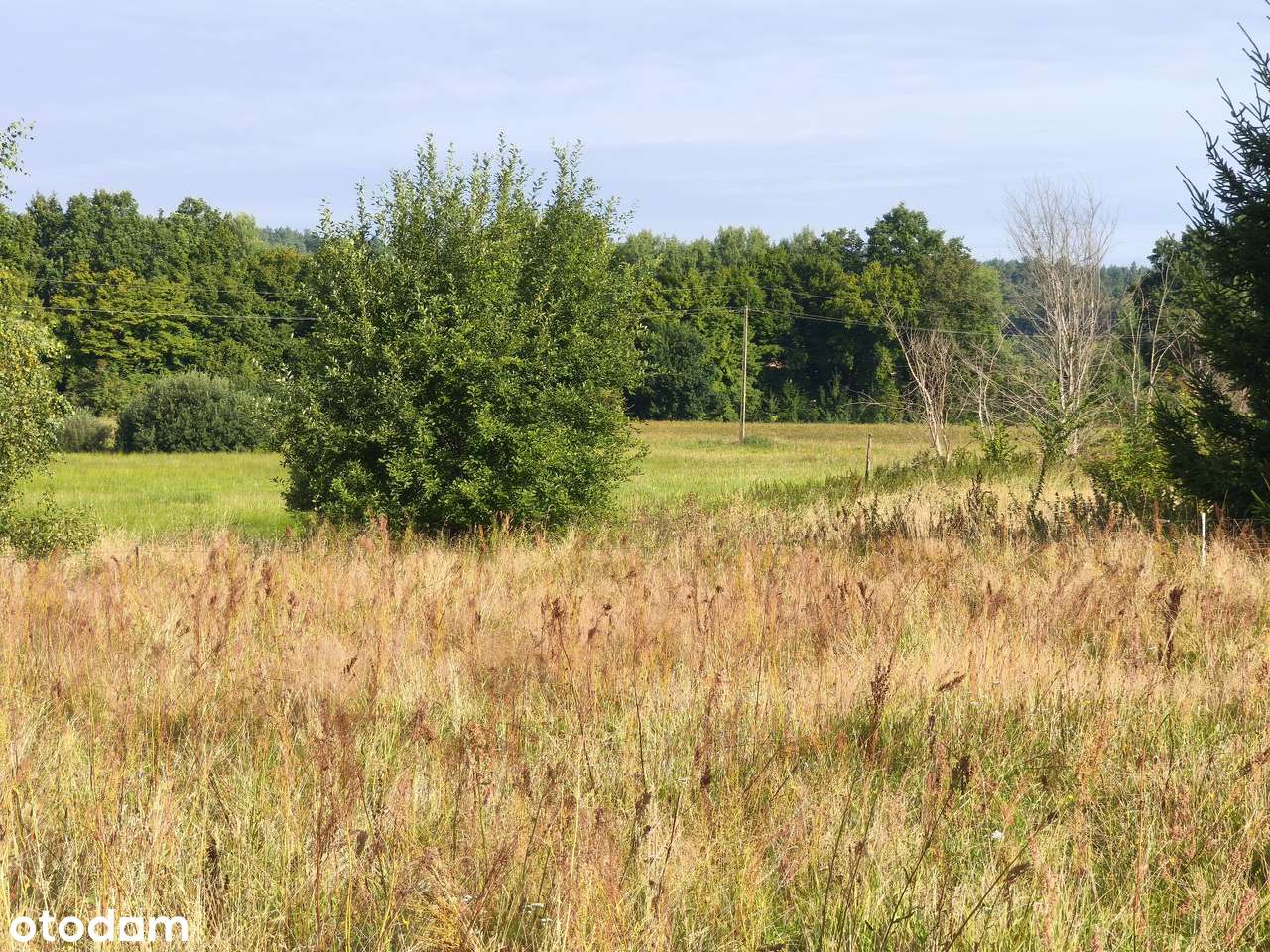 Z dala od spojrzeń sąsiadów-13