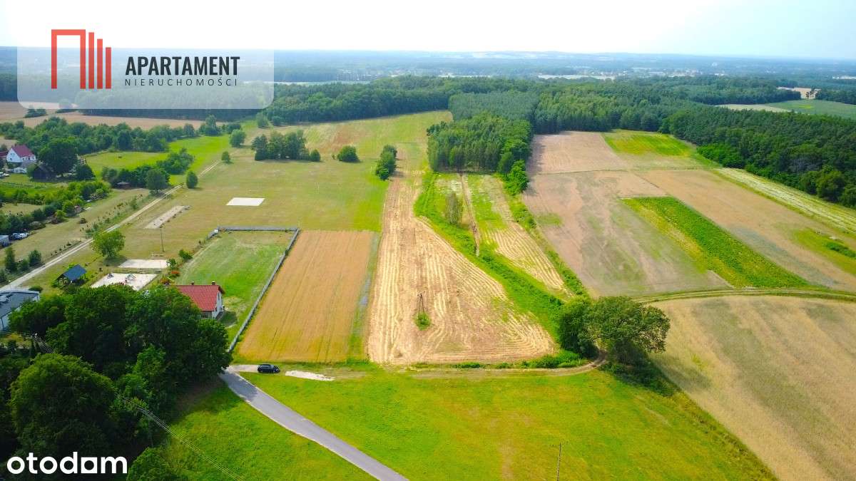 40 min do Wrocławia!k. Obornik Śląskich! 90zł/m2 - Pełny obrazek: 3/7