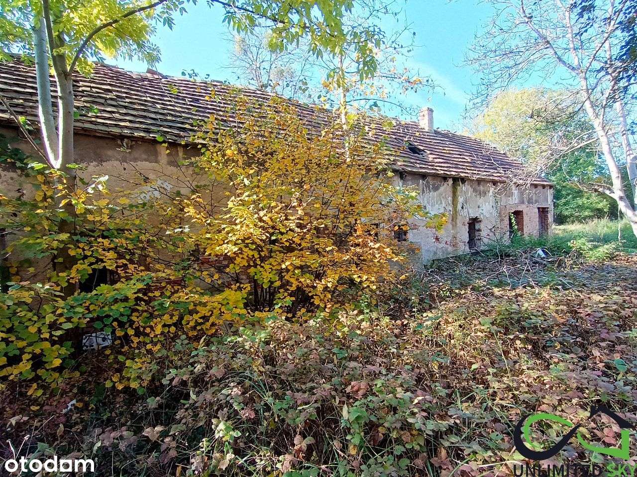 Działka budowlana| Jarząbkowice k. Wrocławia - Pełny obrazek: 4/16