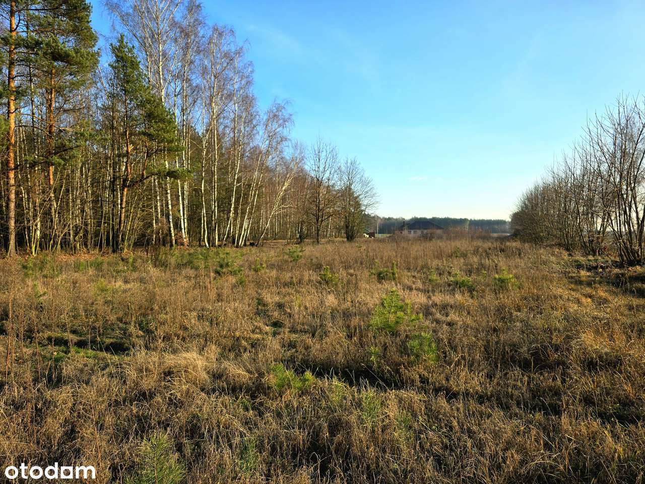 Działki budowlane przy lesie 1343 m2 | media | przy drodze asfaltowej-14