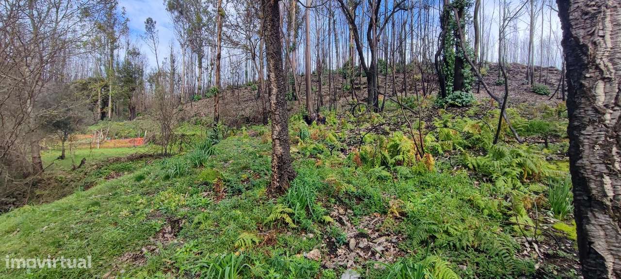 Terreno  Venda em Melres e Medas,Gondomar-7