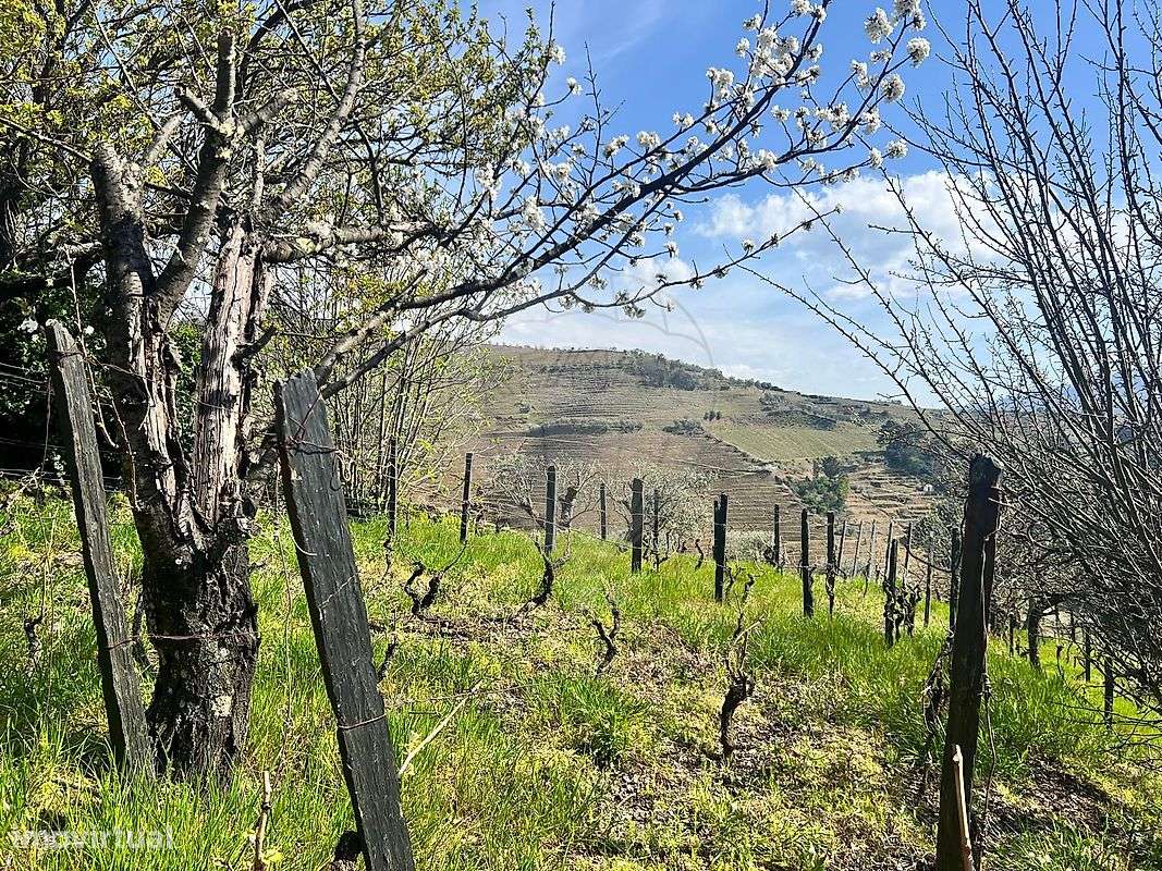 Terreno  para venda - Grande imagem: 4/9