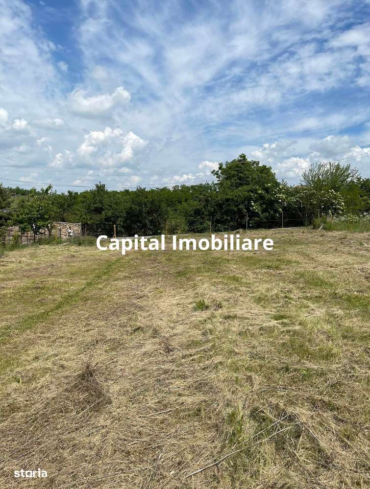 Teren de vânzare în Jucu de Sus: 1763 mp - Imagine principală: 5/9