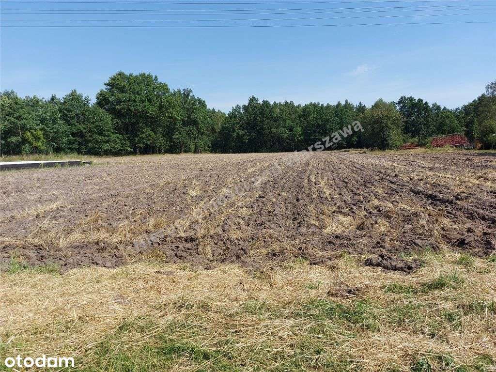 Wymiarowa Działka Pod Twój Wymarzony Dom - Pełny obrazek: 4/6