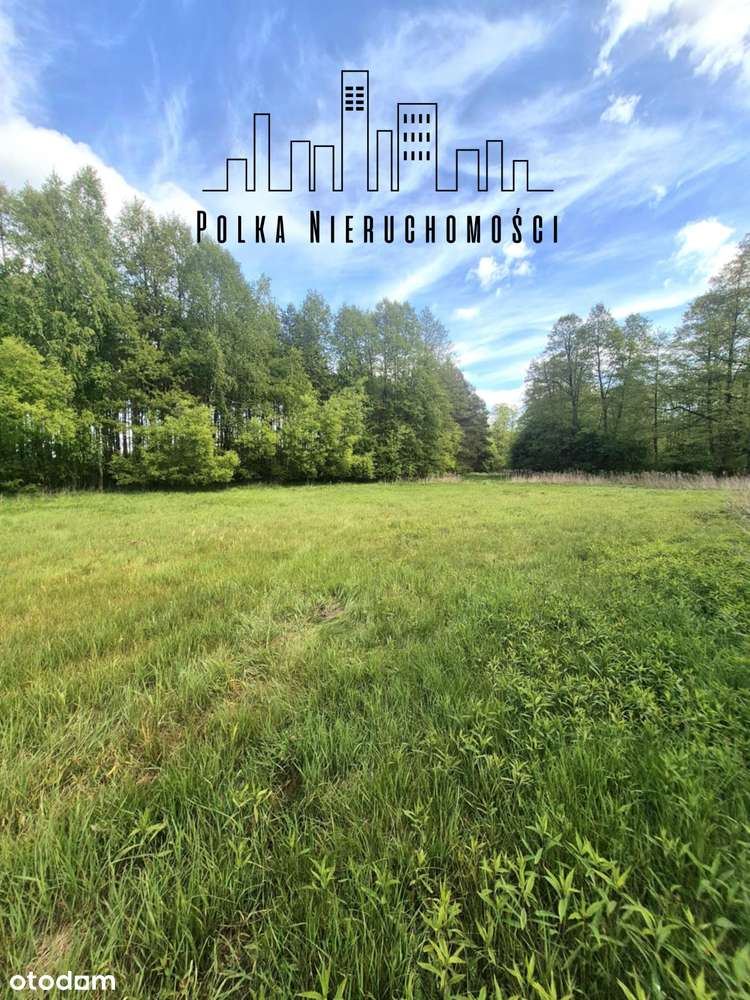 Wśród natury - las.. łąki.. i szybki dojazd do Torunia i Bydgoszczy-4