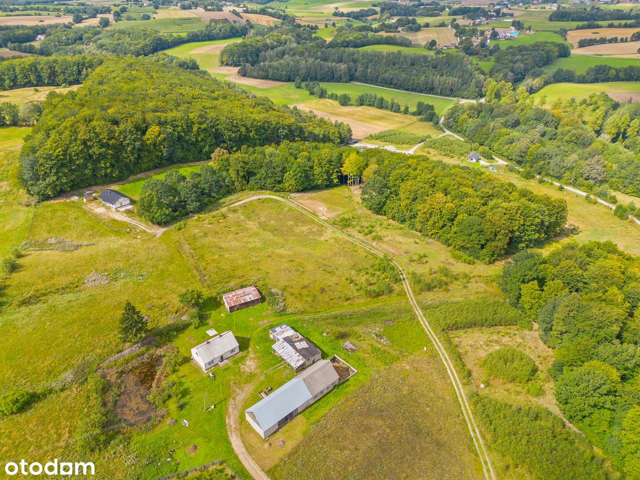 Trzepowo k. Przywidza. Malownicza działka z lasem - Pełny obrazek: 5/8