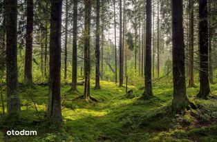 Serce Magdalenki - Piekna Jasna Cicha