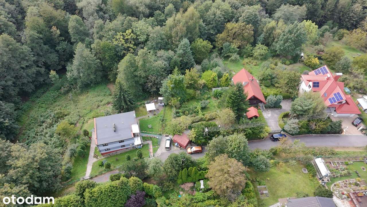 Urokliwa działka w Lipniku  ;)  Nowa cena ! dla osób ceniących spokój - Pełny obrazek: 5/11