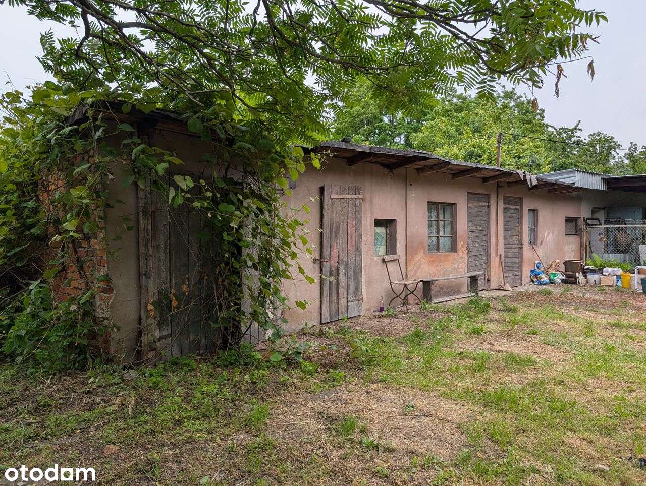 Masłów - Przedwojenny bliźniak do remontu-15