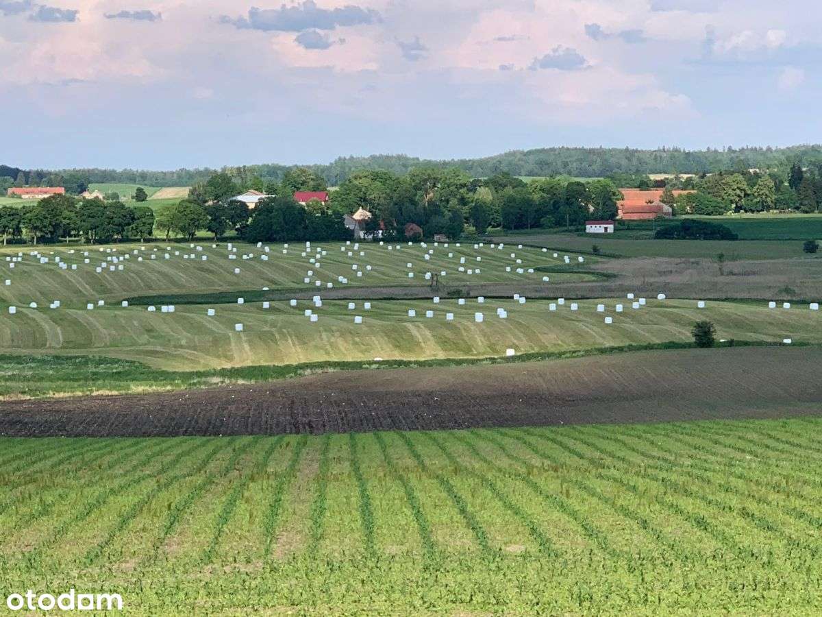 Gospodarstwo Rolne (Produkujące Mleko) - Pełny obrazek: 5/13