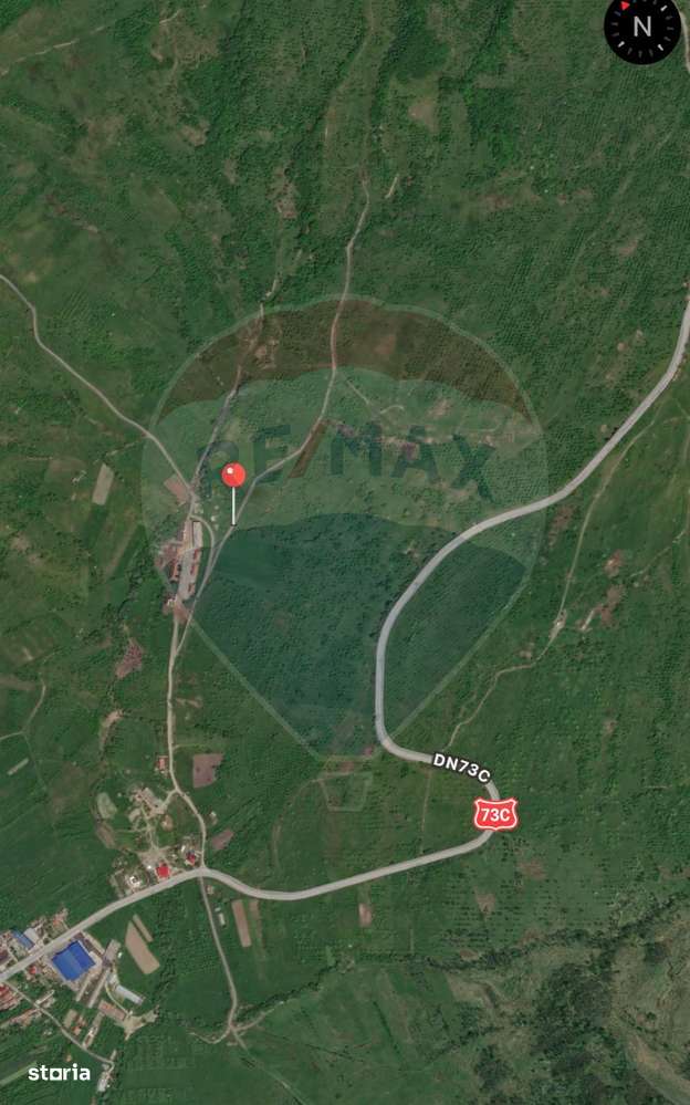 Oferta de Teren extravilan 8,043mp Berevoesti - Imagine principală: 3/4