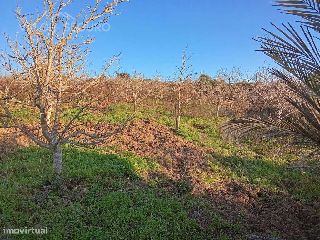 Terreno rústico em Vale Serrão, Pereiro de Palhacana, Alenquer-23