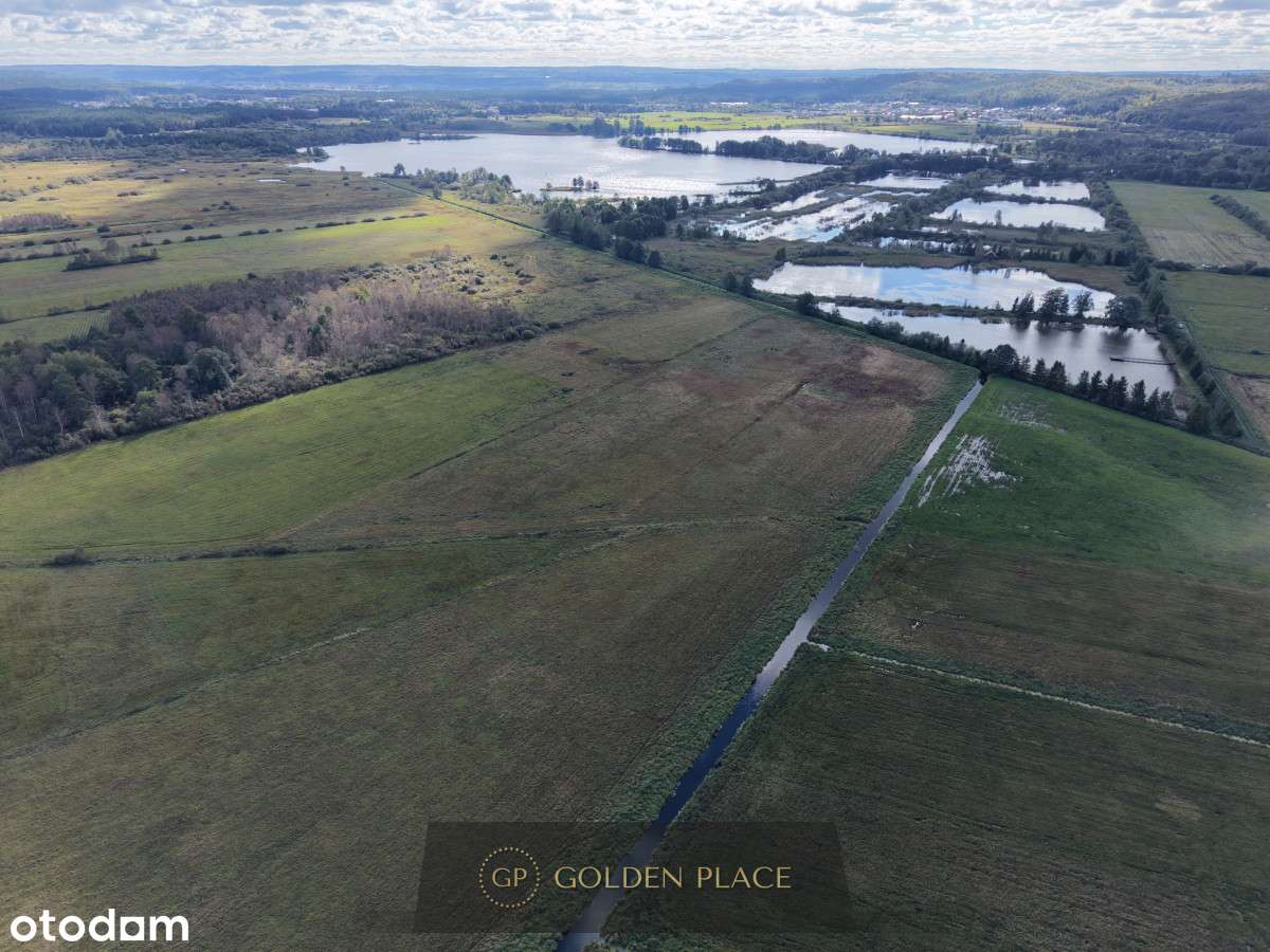 Działka Kniewo 1,23 ha - Pełny obrazek: 5/10