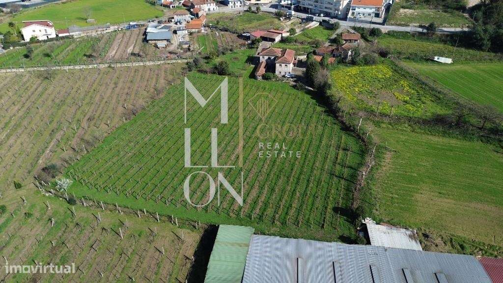 Quinta do Loureiro: Uma Casa Solar Histórica e Elegante em Lousada-37