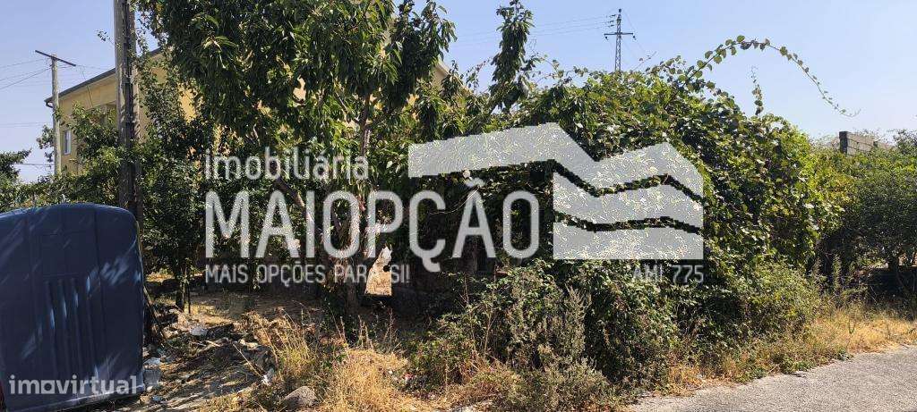 LOTE COM RUINAS PARA MORADIA OU PRÉDIO - Grande imagem: 4/19