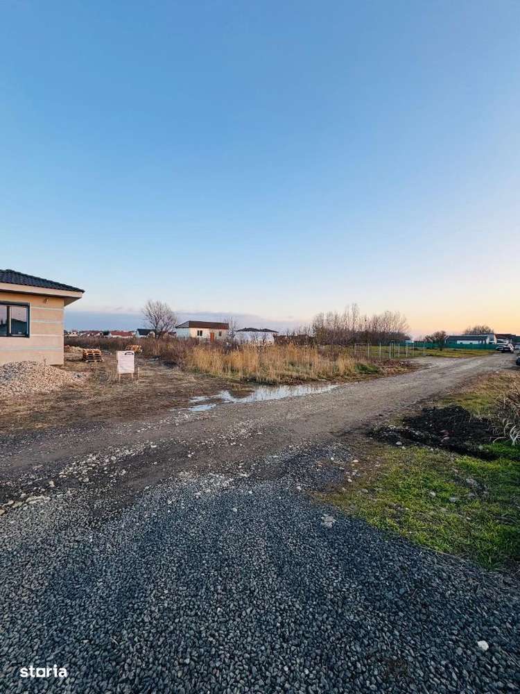 AV636 Teren intravilan, MOSNITA NOUA, 671 m - Imagine principală: 5/6