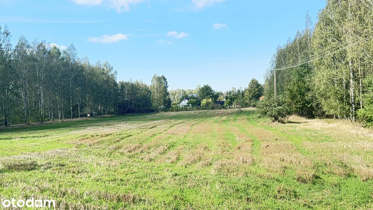 7 400 m² w sercu Podlasia – Twoja część natury w Dubinach!-5