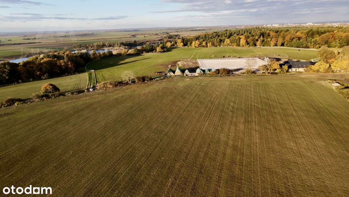 Działki W Malborku - Pełny obrazek: 4/7