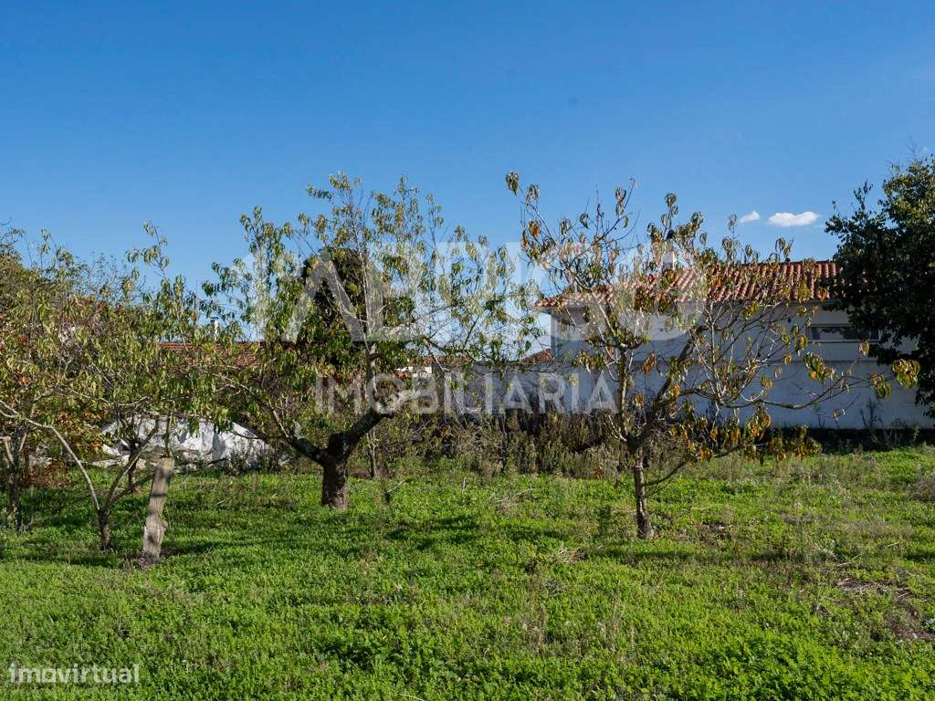 Moradia T3, rés do chão Coucinheira-5