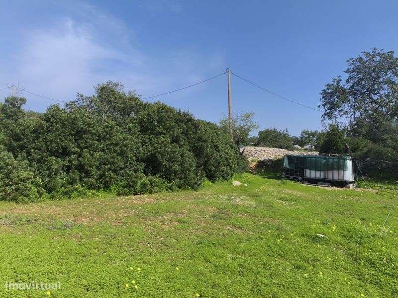 Vendo terreno agrícola Moncarapacho - Grande imagem: 5/6