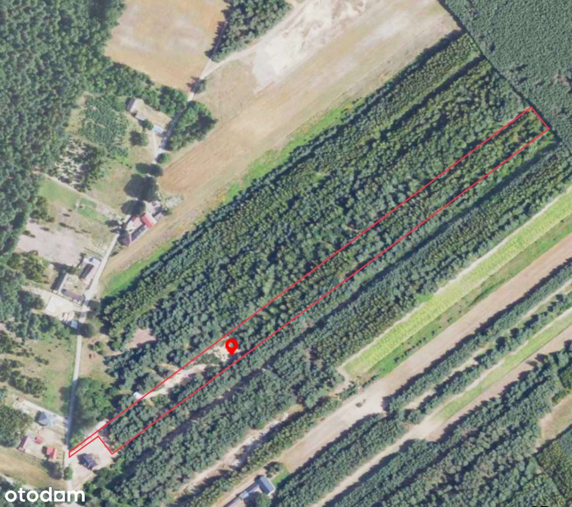 Dom z agroturystyką i 2 ha ziemi – idealna inwestycja! - Pełny obrazek: 4/16