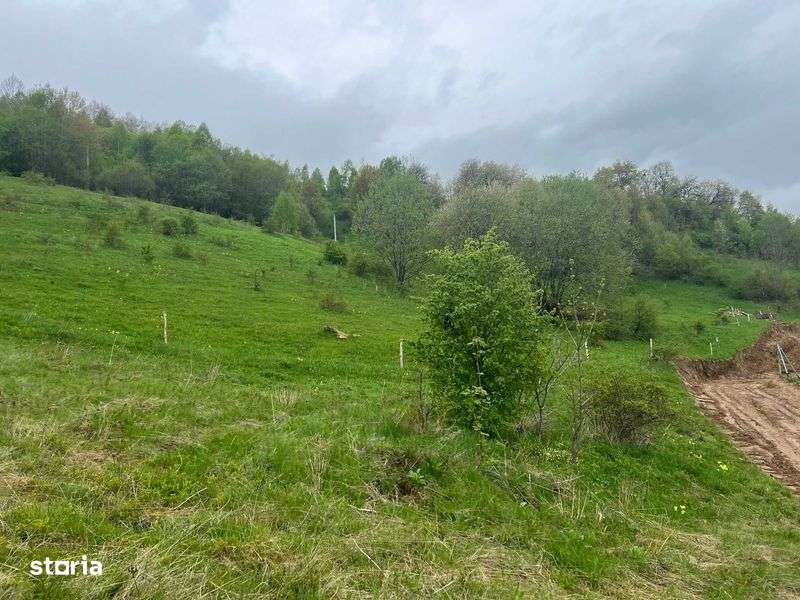 Teren de vanzare intravilan jud. Cluj - Imagine principală: 4/4