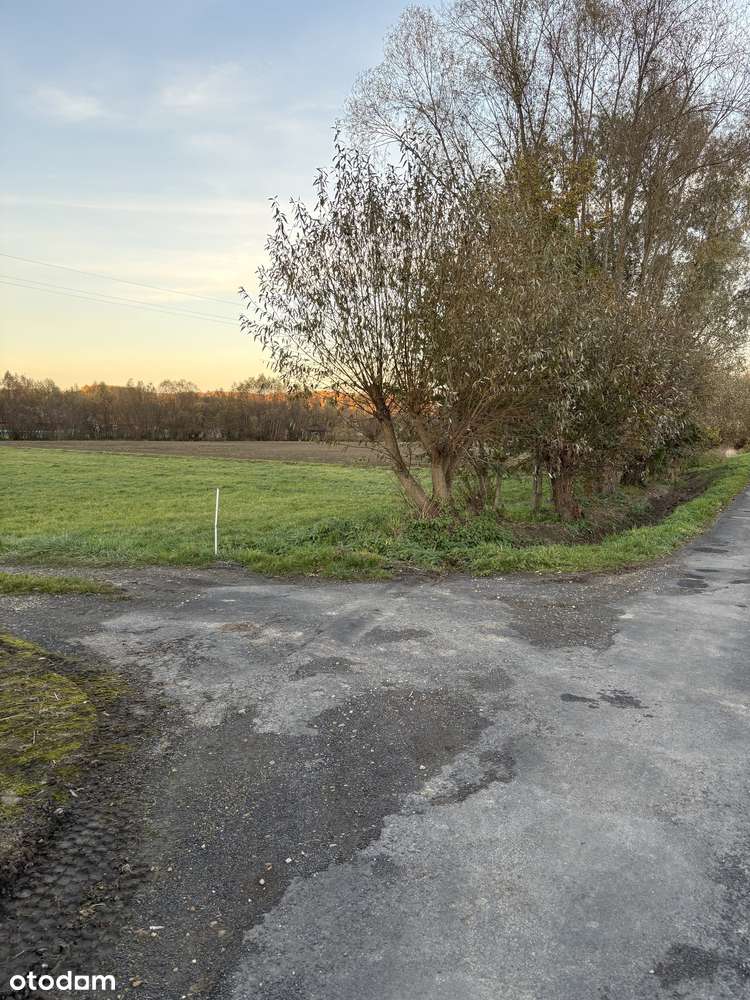 Działka rolna zagrodowa w Radoczy gmina Tomice – 5758 m² (57,5 ara)-4