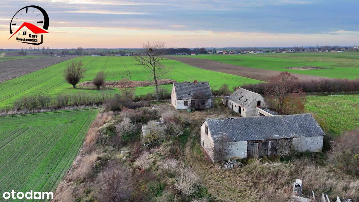 Siedlisko na sprzedaż ! - Pełny obrazek: 4/11