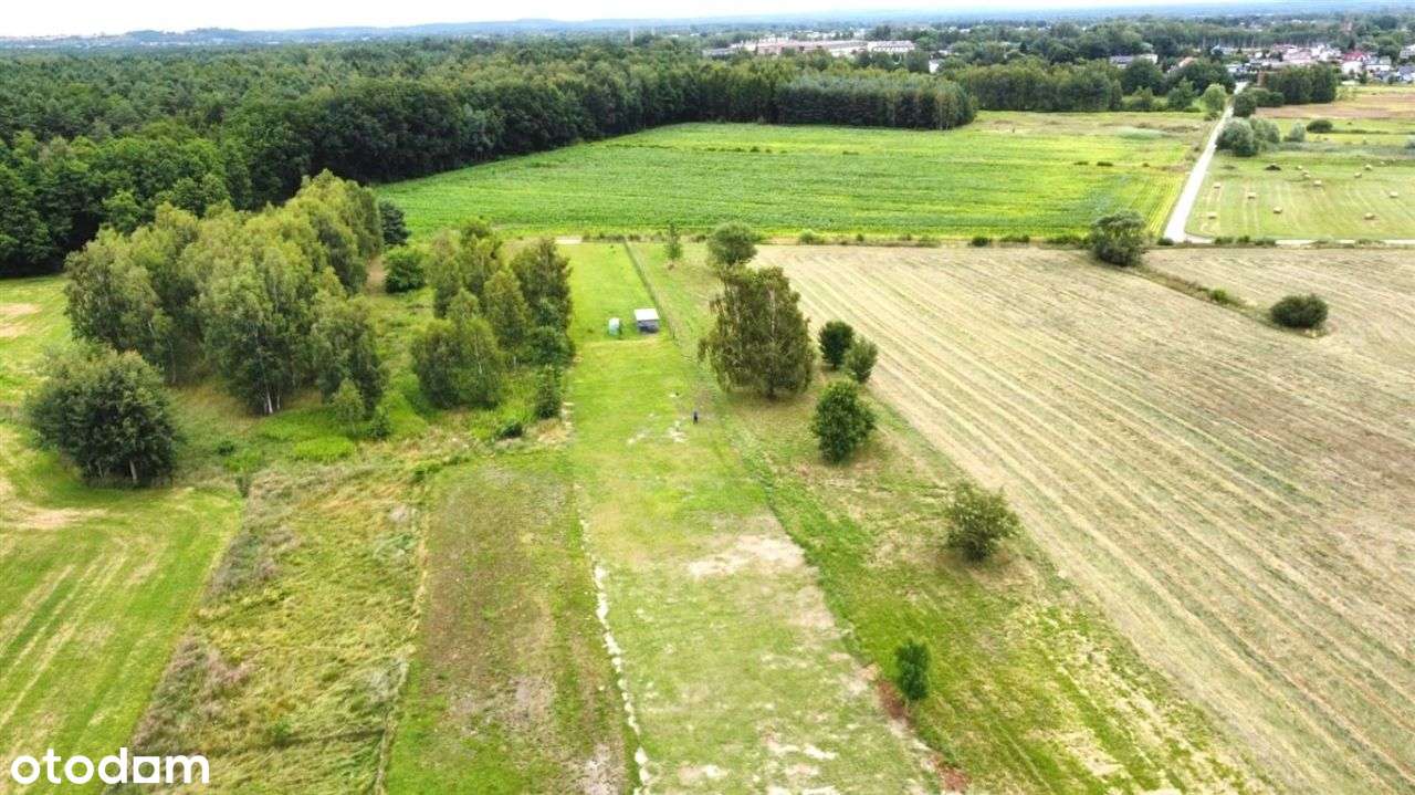 Działka, 2 016 m², Chełm Śląski-0