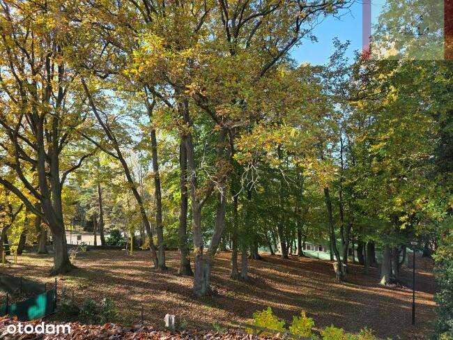 600m od plaży- Jastrzębia Góra (Klonowa)-11