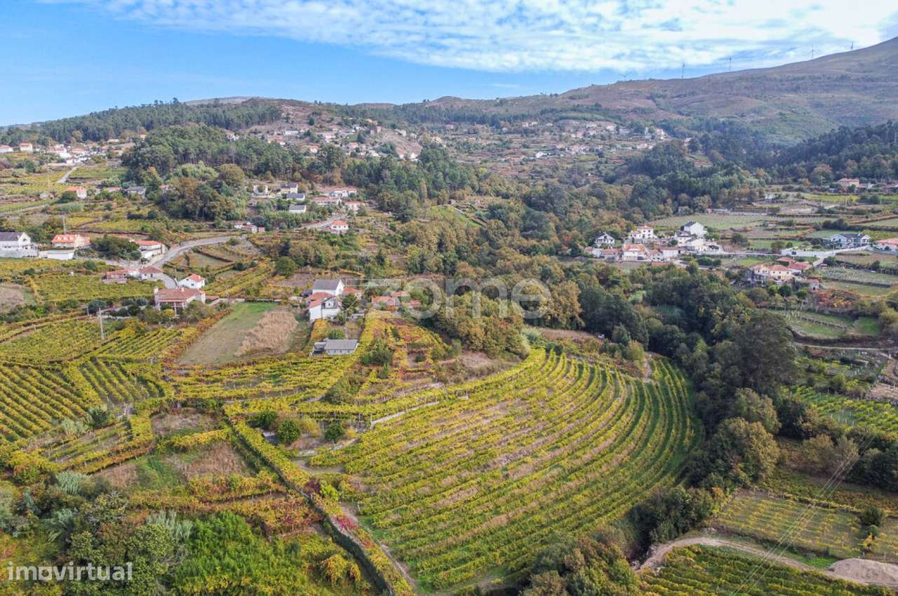 Duas moradias em quinta com produção de vinha em Roussas, Melgaço - Grande imagem: 4/60