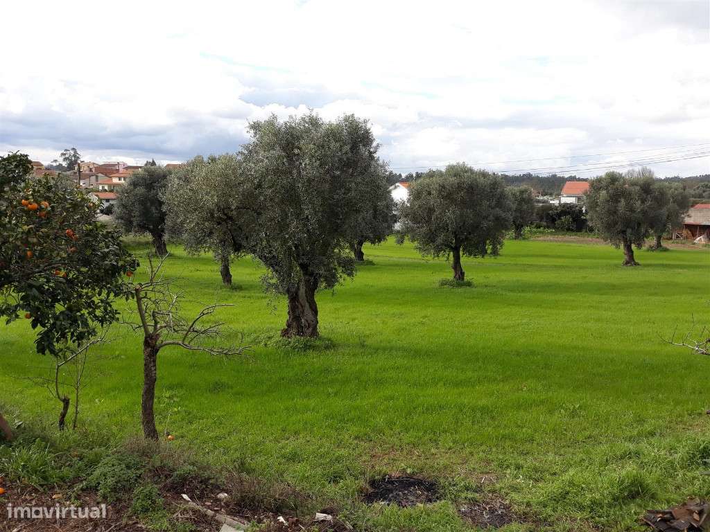 Azenha, Coimbra, São João do Campo - Grande imagem: 2/9