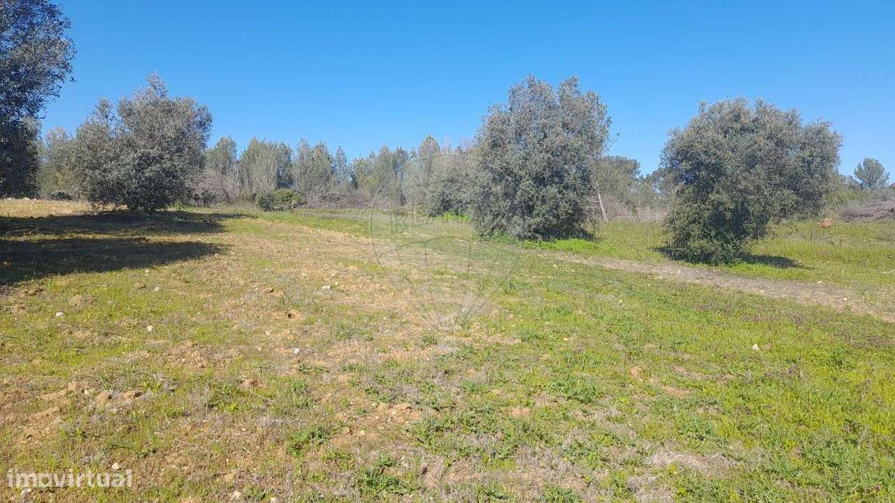 Terreno  para venda - Grande imagem: 5/8