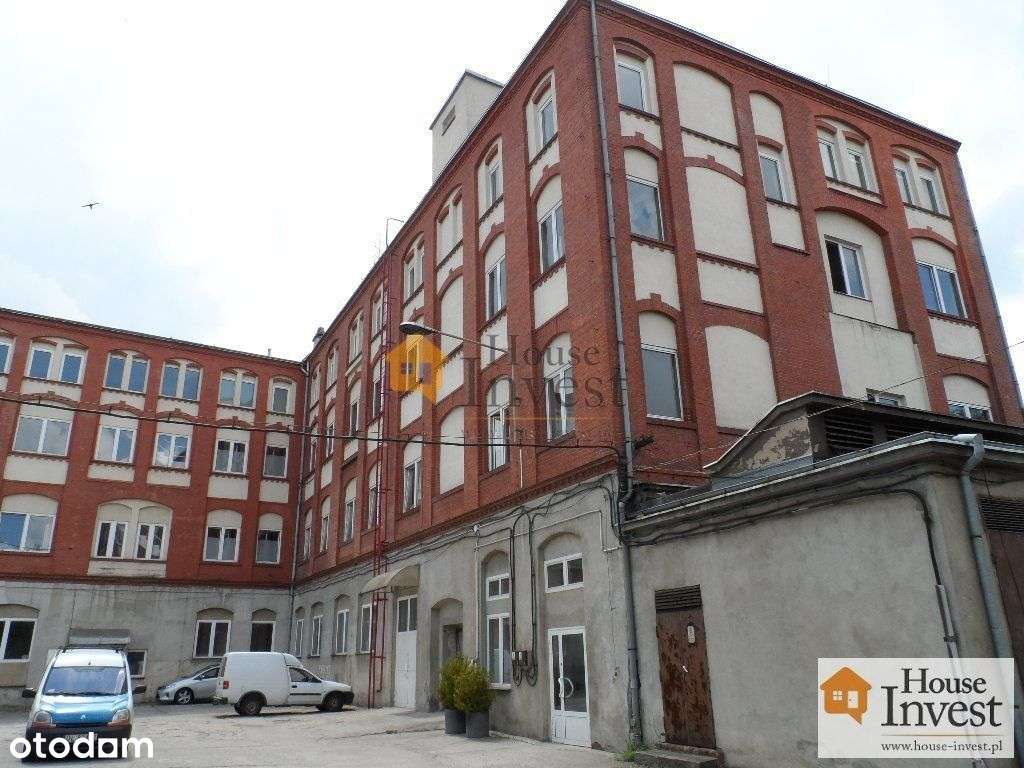 Lokal użytkowy, 3 500 m², Legnica - Pełny obrazek: 3/20