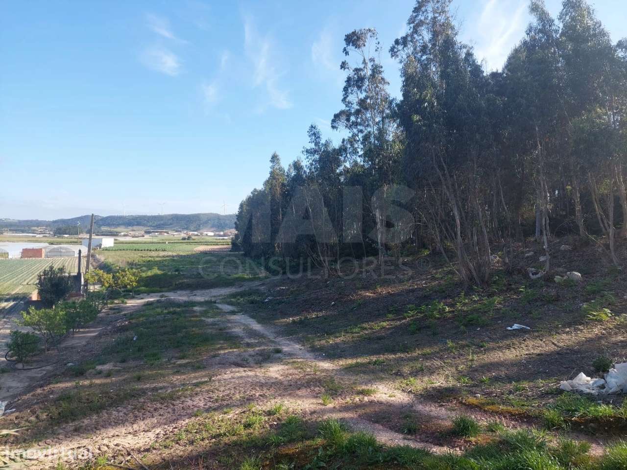 Terreno de 1380m2 em Olho Marinho - Grande imagem: 4/9