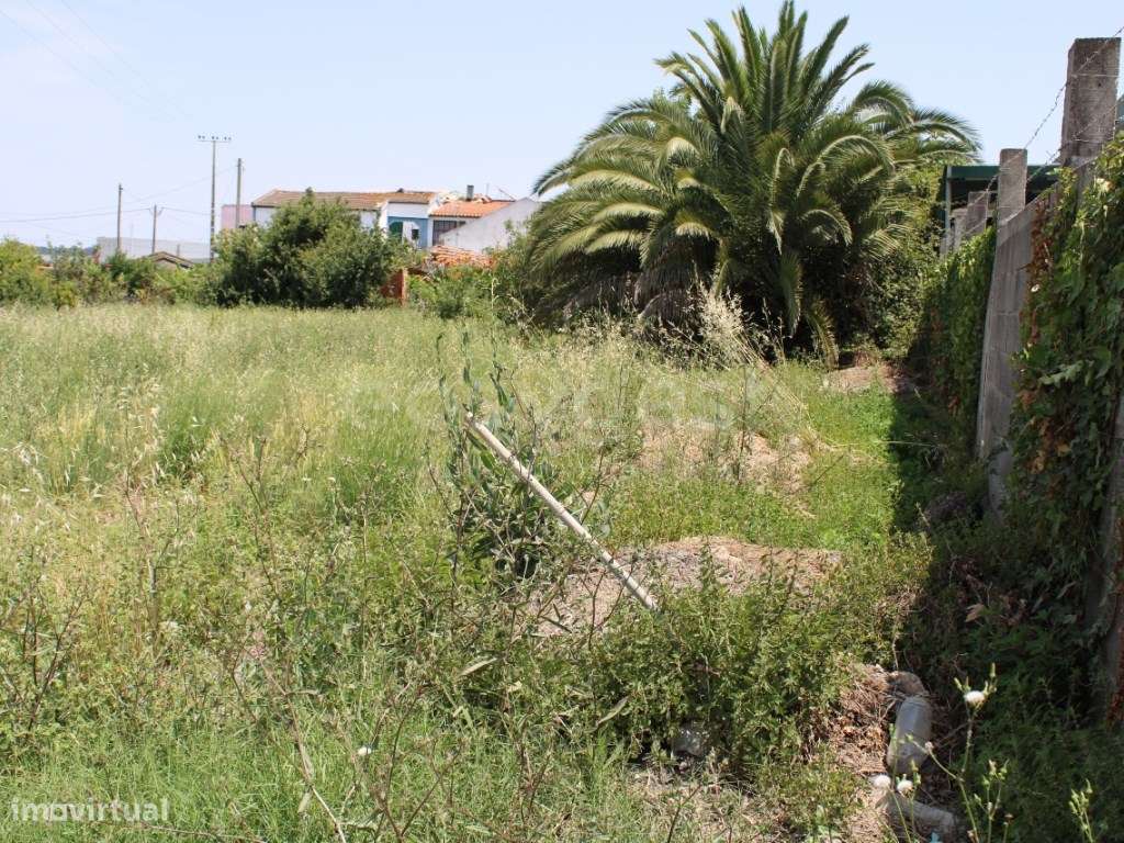 Terreno urbano e rústico para venda com casa em ruínas - Aveiras de... - Grande imagem: 3/27