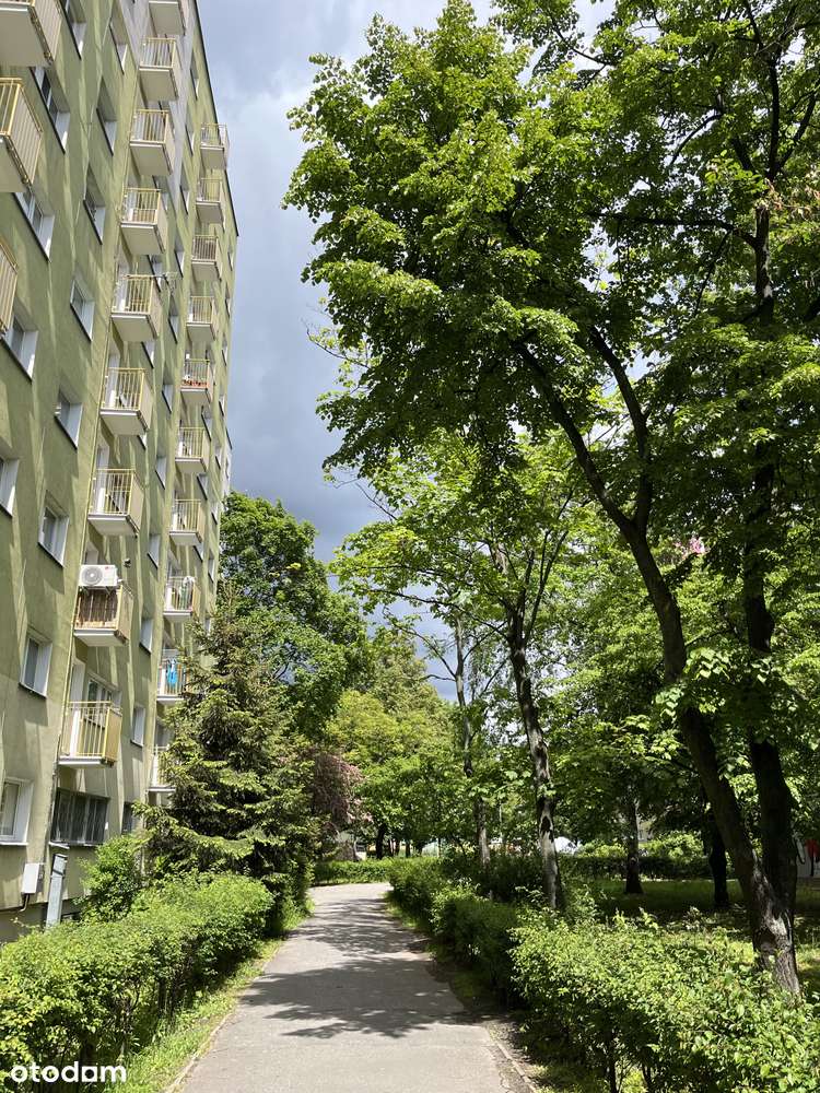 Na sprzedaż – 2-pokojowe mieszkanie z pięknym widokiem-10