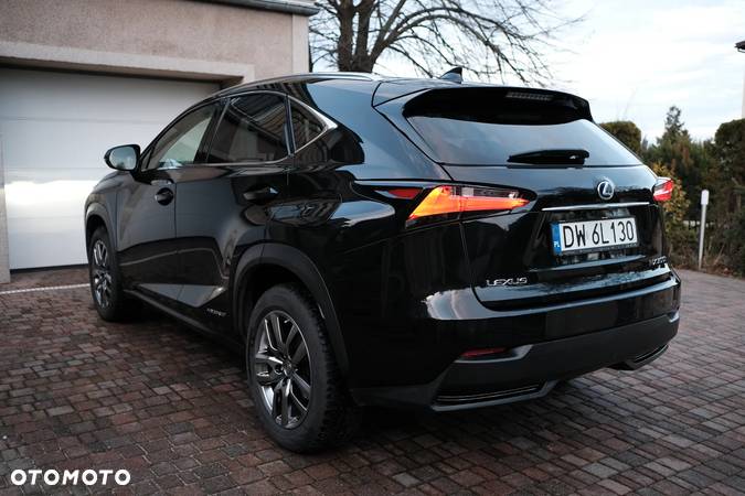 Lexus NX - 25