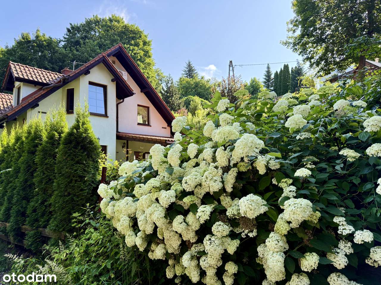 Na sprzedaż - dom 290m2 w Olsztynie-0