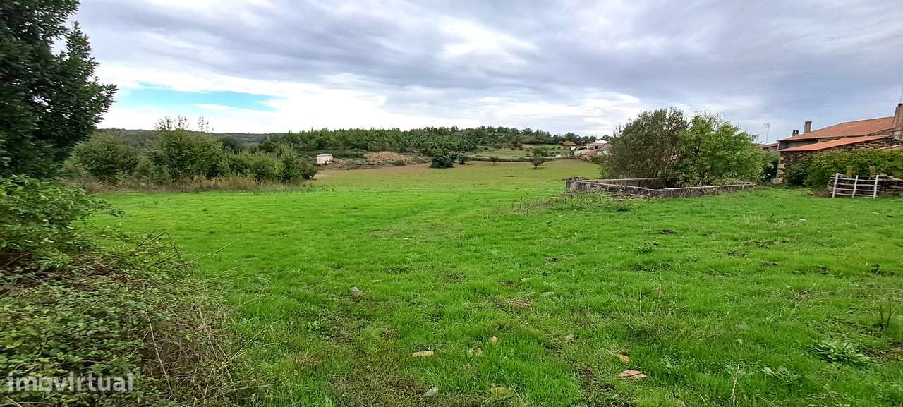 Quinta em Travanca, Mogadouro-57